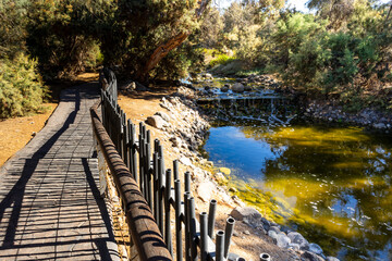 Gran Canaria Meloneras Path and Stream in a Garden