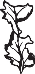 Hand drawn black leaves. Vintage leaf, great design for any purposes.