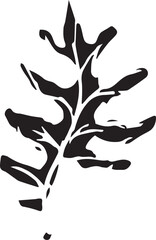 Sketch drawing of a fern in black and white outline. Vintage fern, great design for any purposes.