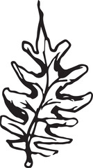 Sketch drawing of a fern in black and white outline. Vintage fern, great design for any purposes.