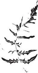 Sketch drawing of a fern in black and white outline. Vintage fern, great design for any purposes.