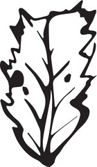 Rowan in hand drawn style on black background. Vintage line art closeup.