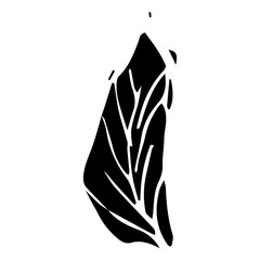 Rowan in hand drawn style on black background. Vintage line art closeup.