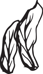 Rowan in hand drawn style on black background. Vintage line art closeup.