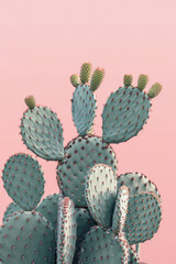 Minimal Art: A Creative Oasis of Pastel Cacti in a Neon Desert Wonderland