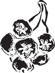 Vintage rowan, great design for any purposes. Hand drawn black illustration.