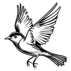 Hand Drawn Sketch bird flying Illustration