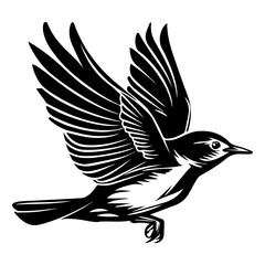 Fototapeta premium Hand Drawn Sketch bird flying Illustration