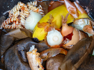 Organic waste on the compost in the garden