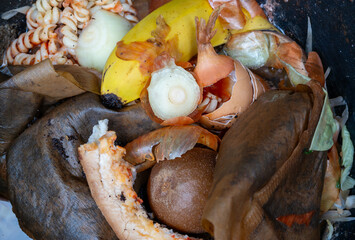Organic waste on the compost in the garden