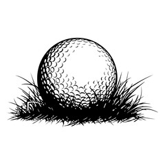 golf ball sitting in the grass