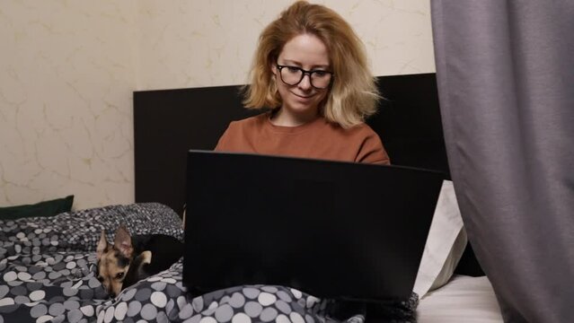 Woman at home in bed with laptop and dog, working remotely, digital office, mobile workplace,online shopping, internet purchase, browsing for deals