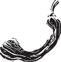 Hand drawn pumpkin for decorative design. Vintage pumpkin.