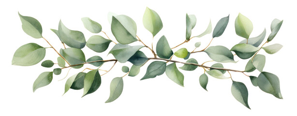 Green eucalyptus leaves stem twig wreath hand drawn. - obrazy, fototapety, plakaty
