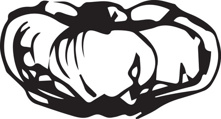 Hand drawn pumpkin for decorative design. Vintage pumpkin.