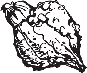 Hand drawn pumpkin for decorative design. Vintage pumpkin.