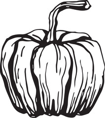 Hand drawn pumpkin for decorative design. Vintage pumpkin.
