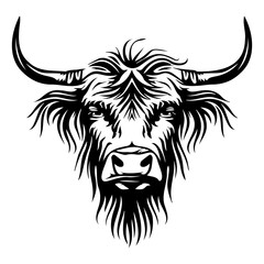 Fototapeta premium Highland cow detailed silhouette hand drawn vector