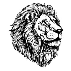 Lion head logo icon, lion face vector Illustration