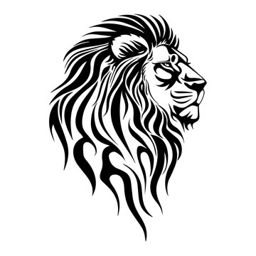 Lion head logo icon, lion face vector Illustration