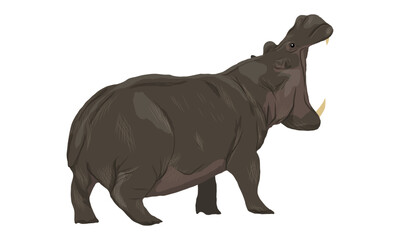 The hippopotamus Hippopotamus amphibius opened its mouth wide. Wild animals of Africa. Realistic vector animal