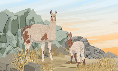 A mother llama and her cub stand in a valley with dry grass near rocky cliffs. Vector realistic landscape
