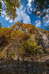 Fototapeta premium 日本 北海道札幌市南区定山渓の豊平川沿いのかっぱ淵と紅葉