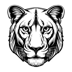 lioness simple illustration. big cat. vector. a lion. wild animal.