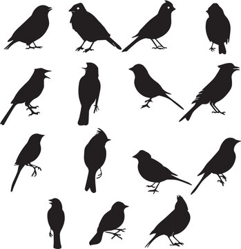 Set of Black Birds silhouettes on white background 
