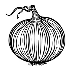 Onion vector icon. Vegetable symbol