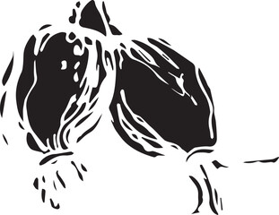 Hand drawn black rosehip. Vintage rosehip, great design for any purposes.