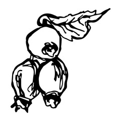 Hand drawn black rosehip. Vintage rosehip, great design for any purposes.
