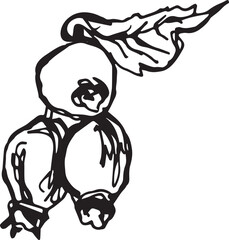 Hand drawn black rosehip. Vintage rosehip, great design for any purposes.