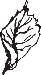 Fototapeta premium Hand drawn black rosehip. Vintage rosehip, great design for any purposes.