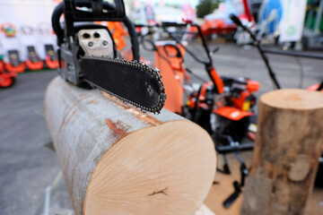 Close-up of woodcutter sawing chain saw blade. Hard wood working in forest. Firewood processing....
