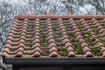 roof with clay tiles and moss
