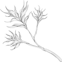 Abstract leaves isolated on white. Thin line ink hand drawn illustration.