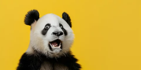 Foto op Canvas A surprised panda on a yellow background with space to copy © Flow_control