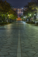 日本　北海道函館市元町にある八幡坂から見える市街地の夜景と函館港