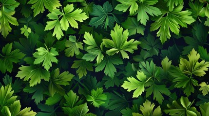 Lush Canopy of Green Leaves: Nature's Monochromatic Texture and Pattern