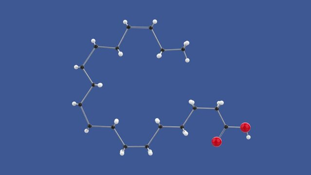 Alpha-linolenic acid, Omega 3 ALA 3D molecule structure loop animation, spinning on blue background, 4k infinite looping render
