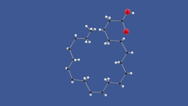 Eicosapentaenoic acid, Omega 3 EPA, 3D molecule structure loop animation, spinning on blue background, 4k infinite looping render