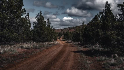 Fotobehang Chocoladebruin forest dirt road in the mountains  © Khanabadosh