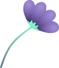 Purple flower