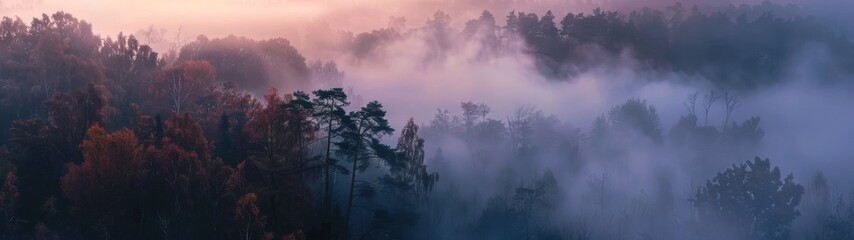 Super Ultrawide Sunset Foggy Tree Tops Forest Background