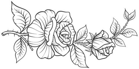 black and white rose flower. Sketch Floral Botany Collection. flower drawings. Black and white with line art on white backgrounds. Hand Drawn Botanical Illustrations.Vector.