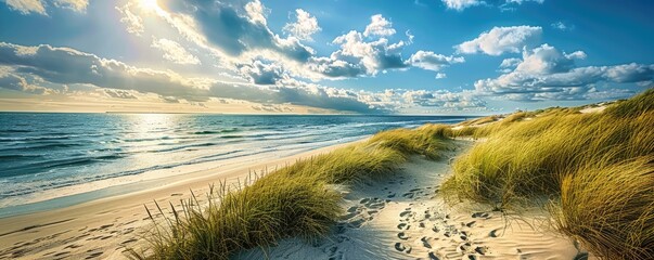Panoramic beauty of a dune beach