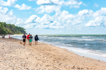 Back view of group of people walking along the seashore on a sunny day with dog.