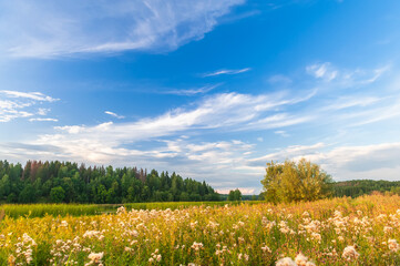 Beautiful autumn landscape with meadows, forests, expensive and beautiful blue sky with clouds.