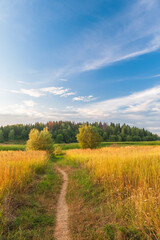 Naklejka premium Beautiful autumn landscape with meadows, forests, expensive and beautiful blue sky with clouds.